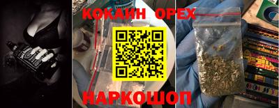 мдпв Гатчина