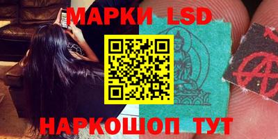 мдпв Гатчина