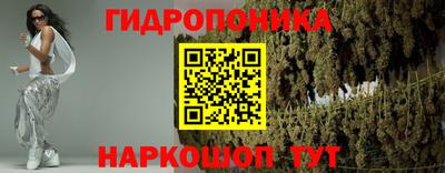 мдпв Гатчина