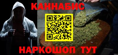 мдпв Гатчина