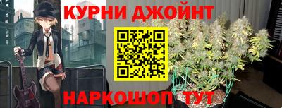 мдпв Гатчина