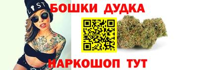 мдпв Гатчина