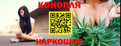мдпв Гатчина