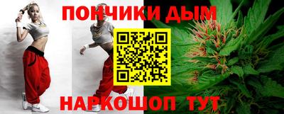 мдпв Гатчина