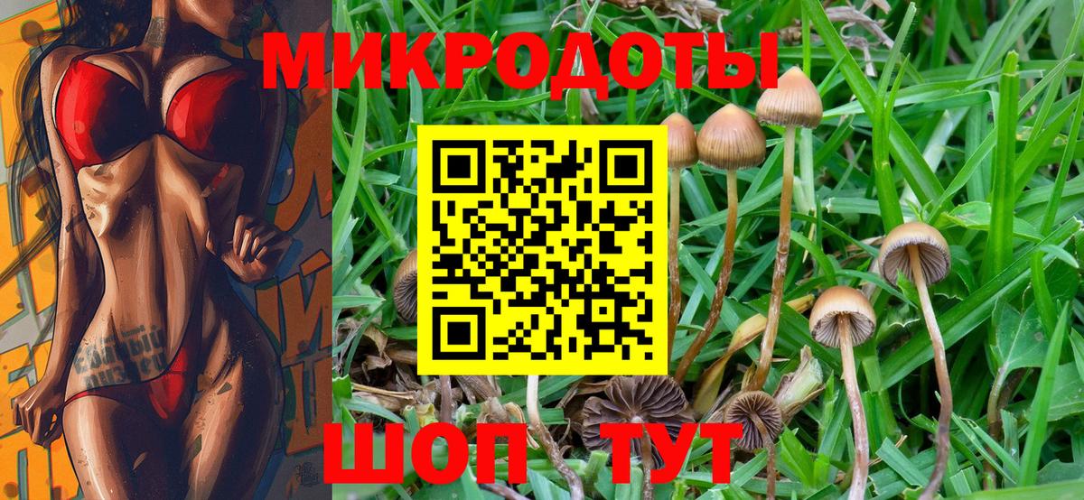 Галлюциногенные грибы Psilocybine cubensis  Псилоцибиновые грибы Psilocybe  Вход с VPN  Гусиноозёрск 